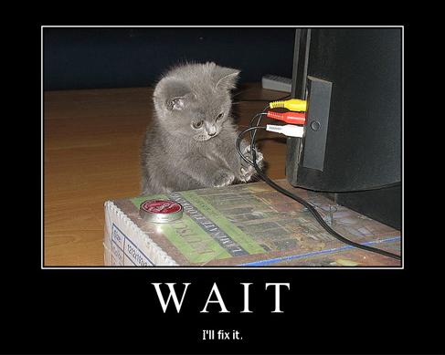 Motivational-poster meme of a gray kitten by AV cables captioned WAIT I'll fix it