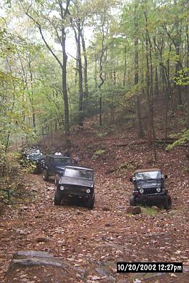 1972 Ford Bronco - Multiple off-road vehicles navigate a trail through a dense forest.