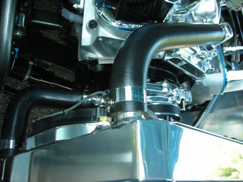 1998 Ford Crown Victoria - Close-up view of a modified engine bay, focusing on the radiator and coolant hoses.