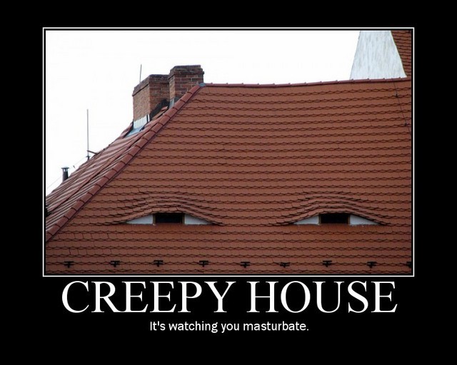 House roof with red tiles and two dormer windows resembling eyes