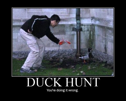 2006 Ford E350 - A man is playing the video game Duck Hunt, but he is doing it wrong by aiming at a real duck.