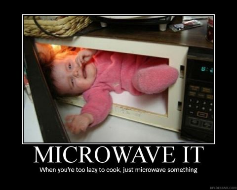 2006 Ford E350 - Humorous meme about microwaving a baby instead of cooking.