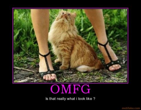 2006 Ford E350 - A humorous demotivational poster a cat and human legs with the text 'OMFG Is that really what I look like ?'