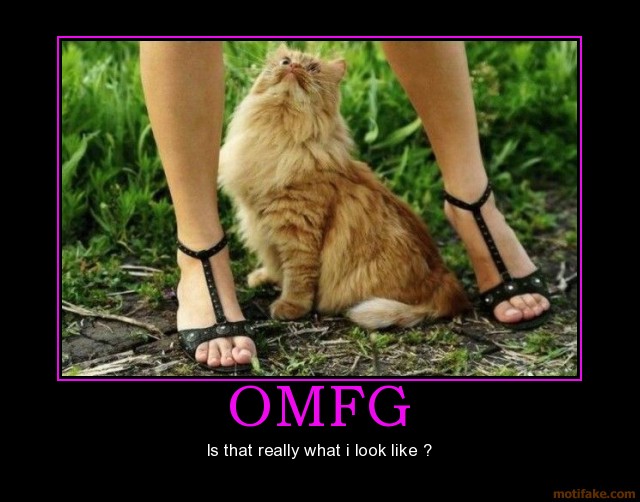 Fluffy orange cat sitting between a person's sandal-clad feet on grass with meme text