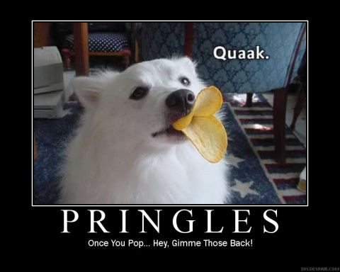 2006 Ford E350 - This dog is trying to eat a Pringle chip, and the text says 'Quaak.'