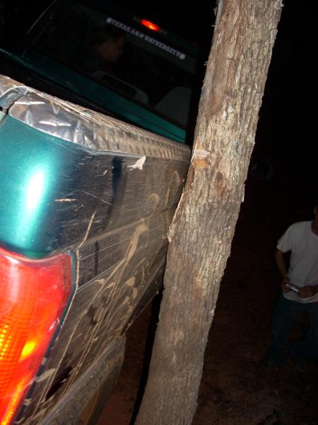 2008 International School Bus - A green SUV appears to be stuck against a tree, with a sticker indicating affiliation with Texas A&M University on the rear window.