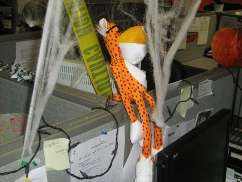 1988 Mercury Grand Marquis - Office cubicle decorated for Halloween with a Chester Cheetah plush toy, cobwebs, and caution tape.