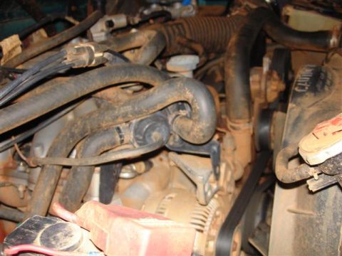 1996 Ford F-150 - Close-up view of a dirty engine bay, showing hoses, belts, and alternator.