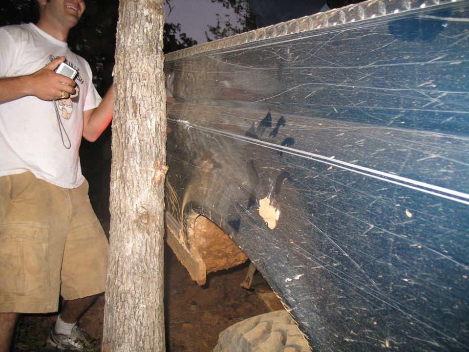 pulling the tree outta the way so Will could go on