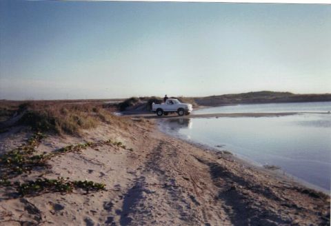 1992 Ford Bronco - A lone pickup truck is parked on a sandy path next to a body of water under a clear sky.