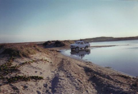 1992 Ford Bronco - A white 1992 Ford Bronco navigates shallow water near sand dunes under a clear sky.