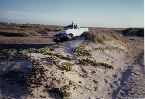 1992 Ford Bronco - White 1992 Ford Bronco navigating a sandy incline with vegetation.