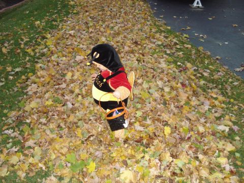 2000 Ford Crown Victoria - A child in a bee costume stands among fallen leaves, ready for trick-or-treating.