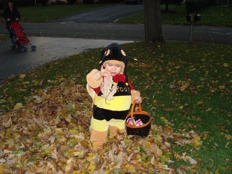 2000 Ford Crown Victoria - A child dressed as a bee stands in a pile of autumn leaves, holding a leaf and a candy basket.