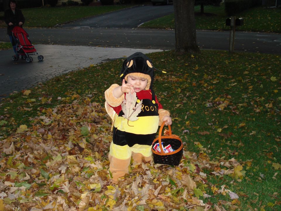 Child in bee costume holding a leaf and candy basket, standing in fallen leaves