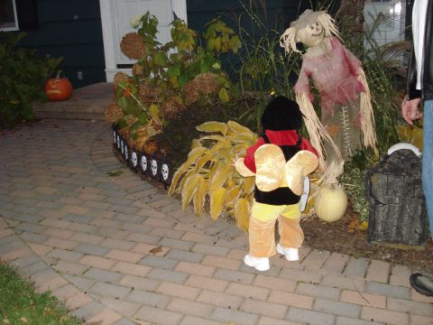 2000 Ford Crown Victoria - A child dressed as a bee stands on a decorated walkway during Halloween, with a scarecrow and pumpkin visible.