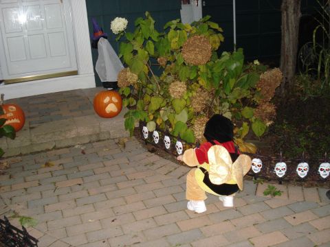 2000 Ford Crown Victoria - Halloween decorations and a child in a bee costume are visible on a brick path.