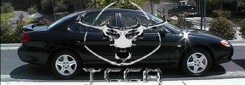 2002 Ford Taurus - web banner showing a black Ford sedan overlaid with a deer-skull emblem and chrome lettering reading TCCA.