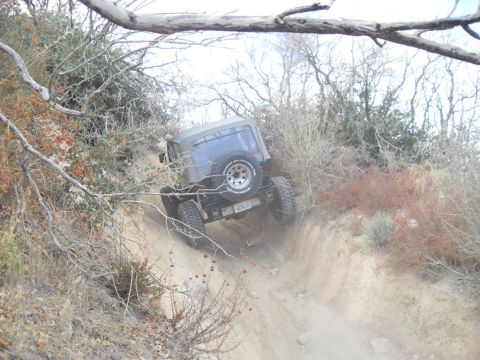 1990 Ford Bronco - A Jeep Wrangler navigates a challenging off-road trail, with dry brush and trees surrounding the dusty path.