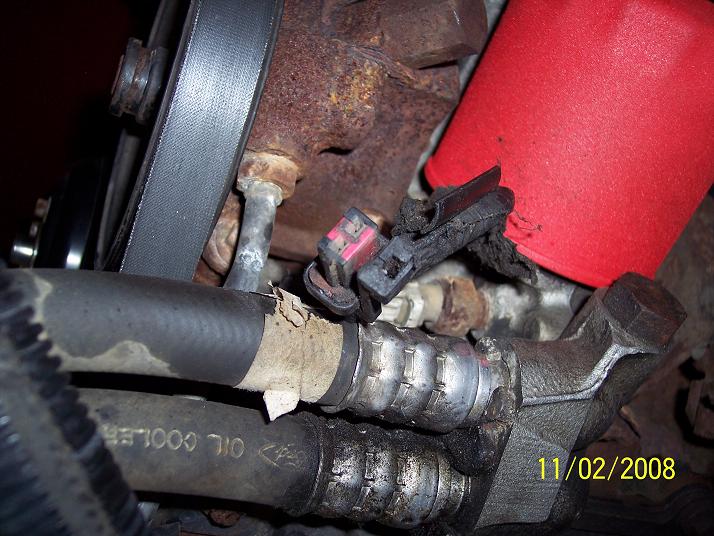 Engine bay close-up with serpentine belt, oil cooler lines, and cracked hose, dated 11/02/2008.