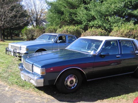 2001 Ford Crown Victoria - Two sedans are parked on a lawn with trees in the background.