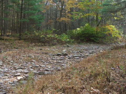 1996 Ford Bronco - A dry creek bed winds through a forest with trees showing autumn colors.