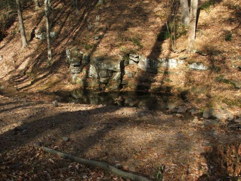 1996 Ford Bronco - A natural scene in a wooded area with a small pool of water reflecting the surrounding trees and rocks.