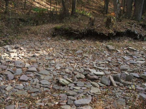 1996 Ford Bronco - A dry streambed filled with rocks and fallen leaves, surrounded by trees.