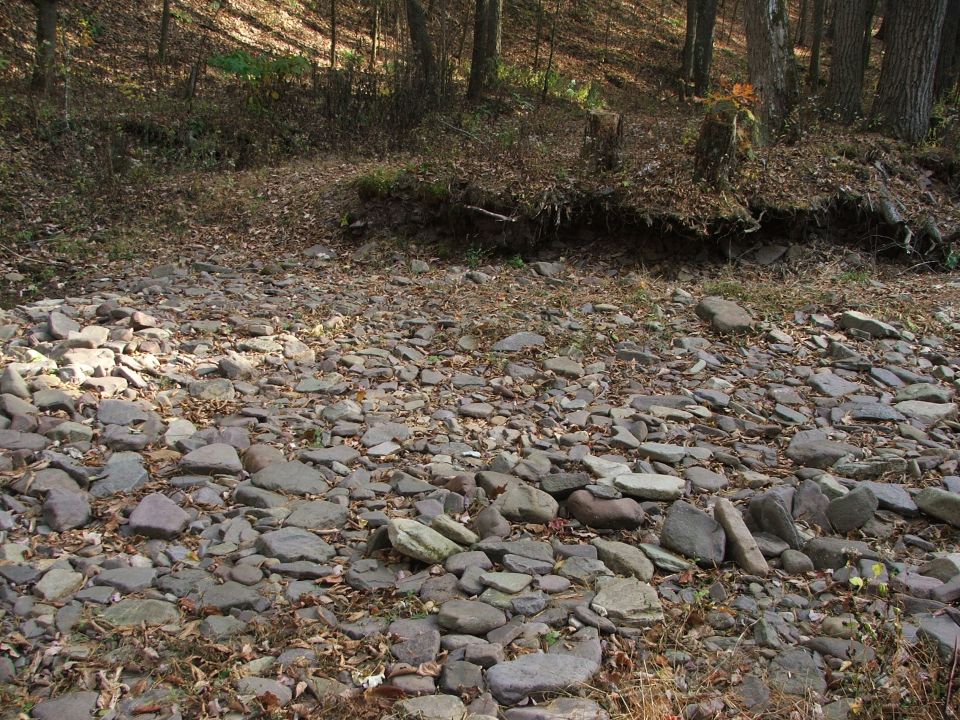 Rocky streambed with fallen leaves and trees in background