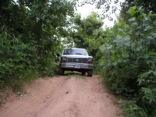 1984 Ford Bronco - Ford F-Series pickup truck driving on a dirt road through a wooded area.