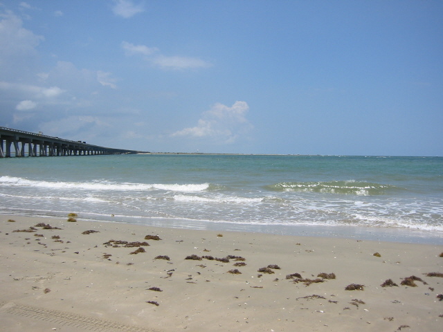 Sandy beach with seaweed, small breaking waves, and a long bridge stretching over the ocean under blue sky