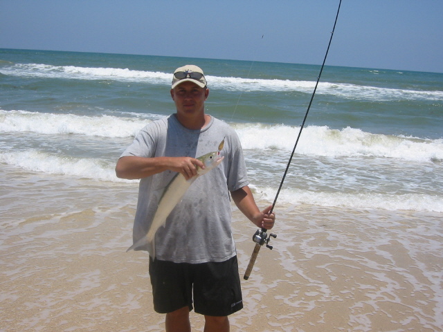 Ladyfish caught on a gold spoon