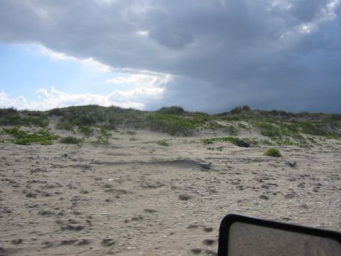 1984 Ford Bronco - A side mirror with the Supermotors.net logo is visible in the foreground of a sandy beach scene with dunes and a cloudy sky.