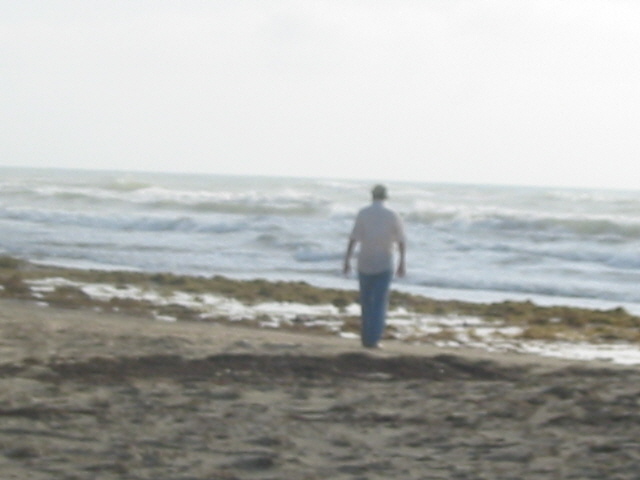 Sam taking a morning stroll down the beach.