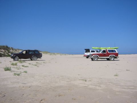 1984 Ford Bronco photo