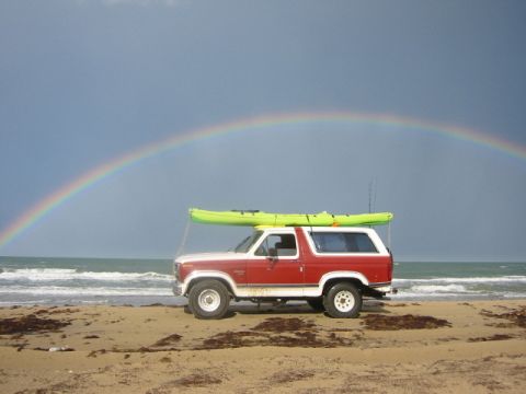 1984 Ford Bronco photo