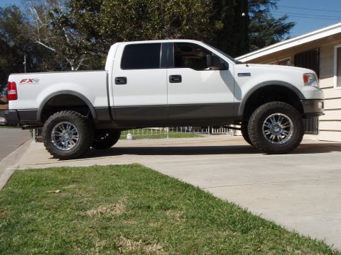 2005 Ford F-150 photo