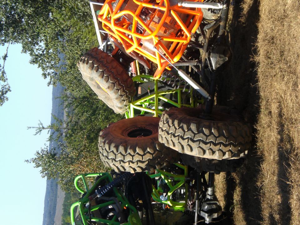 Off-road buggy with orange roll cage and large tires, partially obscured by trees and grass