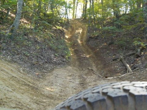 1989 Ford Bronco - A tire is visible in the foreground of a dirt trail winding through a wooded area.