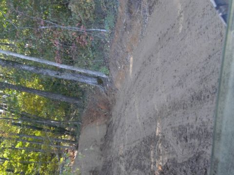 1989 Ford Bronco - A dirt path winds through a wooded area with fallen leaves and mud.