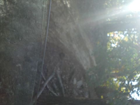 1989 Ford Bronco - View through a dirty window shows trees and foliage, with a Supermotors watermark at the bottom right.