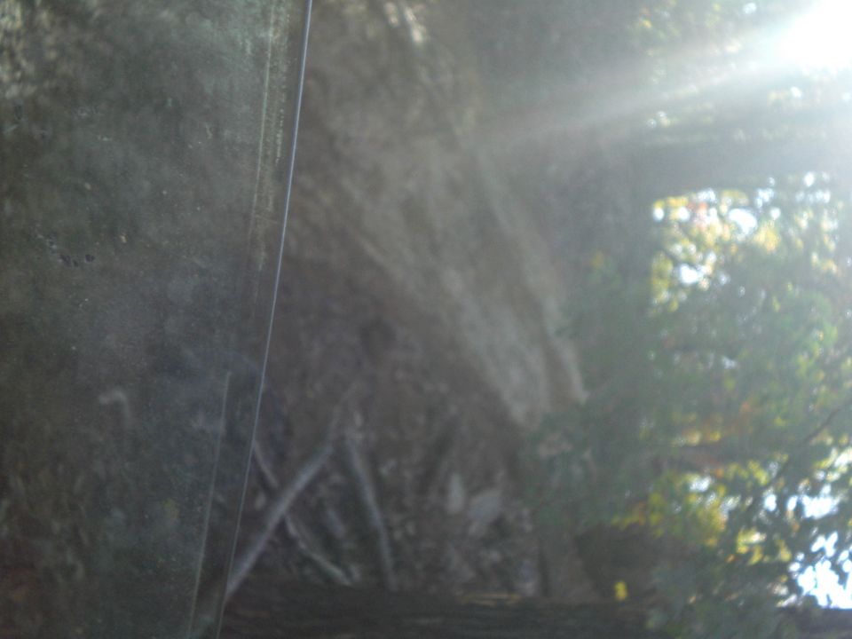 Trees and foliage viewed through a dirty window with a Supermotors watermark