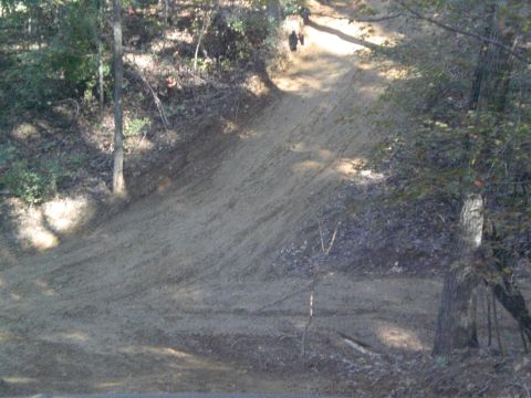 1989 Ford Bronco - Dirt path through woods with two figures on it.