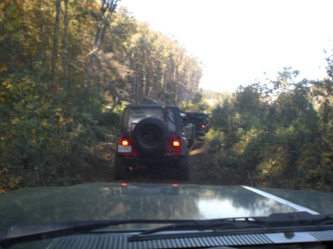1989 Ford Bronco - Multiple Jeeps navigate a wooded trail on a sunny day.