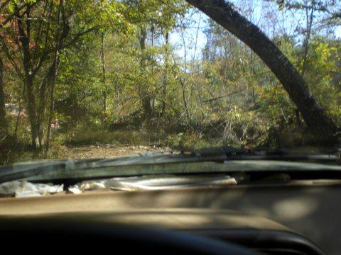 1989 Ford Bronco - View from inside a vehicle shows a dashboard and a wooded landscape through the windshield.