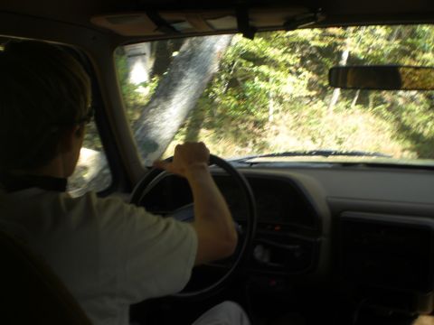 1989 Ford Bronco - Driving through trees in a 1989 Ford Bronco, the interior shows the steering wheel and dashboard.