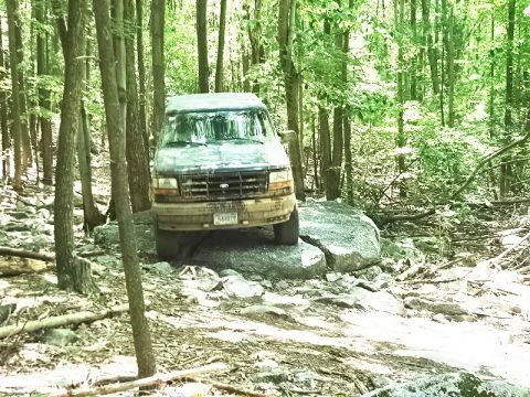 1995 Ford Bronco photo