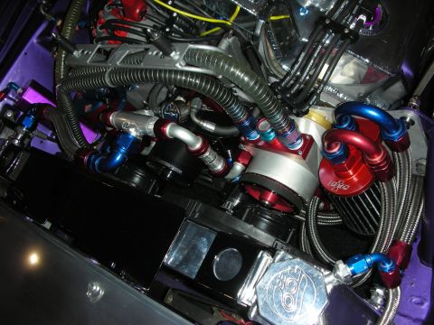 1998 Ford Crown Victoria - Customized engine bay with extensive modifications and colorful braided hoses.