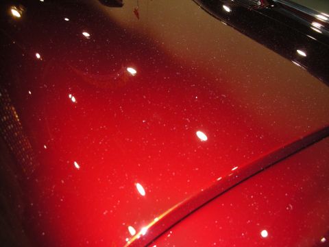 1998 Ford Crown Victoria - The metallic red paint on this car's hood is covered in a fine layer of dust, with bright reflections scattered across the surface.