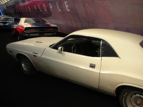 1998 Ford Crown Victoria - A white Dodge Challenger is parked next to another muscle car with racing stripes.